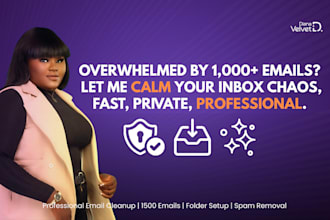 professionally clean and organize your email inbox