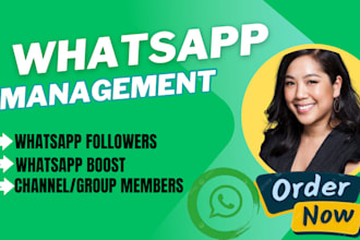 grow whatsapp followers, gain 30k member whatsapp channel, whatsapp bulk message