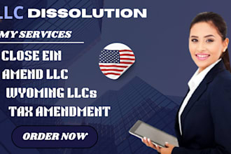 llc dissolution llc amendment llc reinstatement