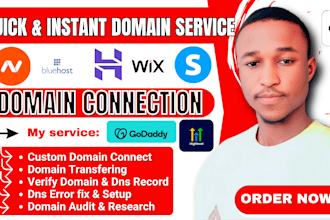 connect godaddy domain to website, fix dns errors, transfer domain, email issues