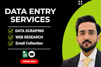 do data entry, copy paste, data scraping, email leads, PDF to excel data entry
