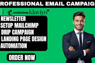 create manage high converting email marketing drip campaign via brevo flodesk