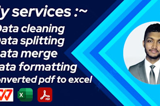 marge data and convert pdf to excel and word data entry facility