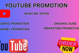 do youtube channel promotion and organic growth to boost subs and views
