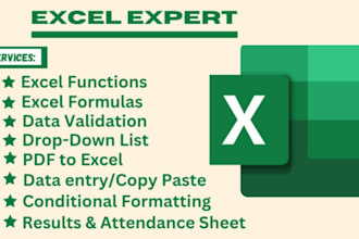 be your expert in microsoft excel data analysis, dashboards, and automation