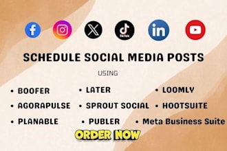 schedule social media posts using boofer metricool hootsuite loomly later publer