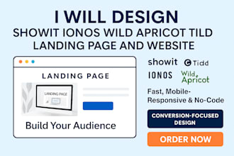 design showit ionos wild apricot tild landing page and website