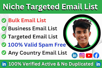 build niche targeted consumer email list for ecommerce or online business