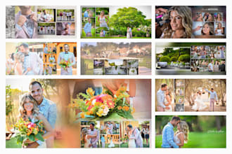 design elegant classic album pro