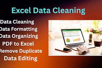 do excel data cleaning, formatting and editing