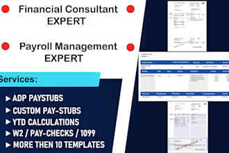 provide adp pay stubs, custom paystubs services