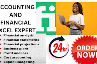 do accounting and finance assignment, financial statement analysis, excel report