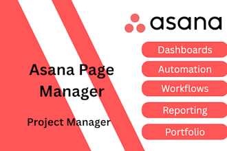 do project documentation and management via asana
