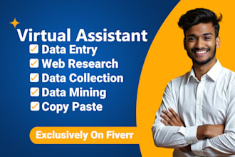 do fast and accurate excel data entry, cleanup, formatting