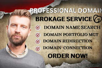 be your domain broker, domain manager, domain agent fix domain redirect godaddy