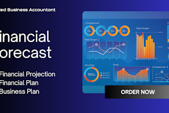 provide financial forecast, projections and business plan