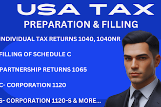 prepare, sign and e file usa tax returns for individual and business as a CPA