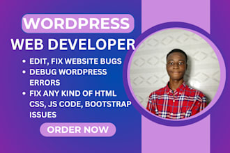 help fix critical error debug edit wordpress website issues fix bugs html css js