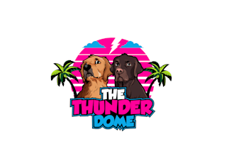 design an eye catching logo for horse animal and pet cat dog