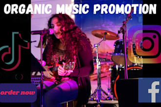 promote song, music or brand on tiktok, instagram music blogs and radio stations