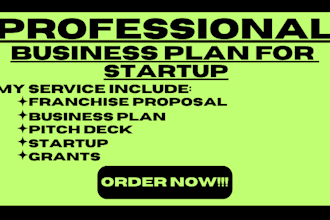 provide a professional financial plan and business plan for startup