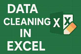 clean, organize, and format your excel data professionally