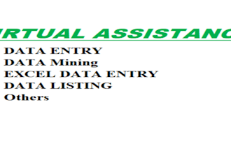 do accurate data entry, web research copy paste tasks and excel data jobs