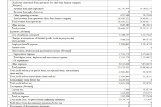 do financial statements for small scale industry