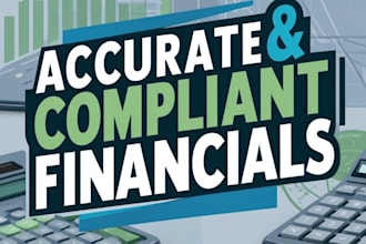 provide expert audit and accurate financial reporting