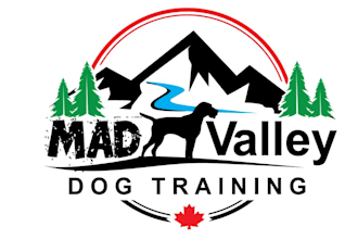make a vintage high quality valley dog training logo