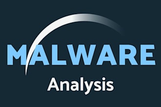 perform in depth malware analysis and reporting
