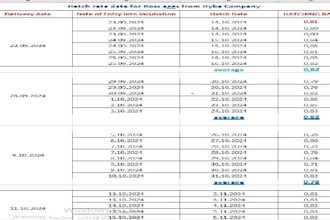 data entry and computer support for import export businesses