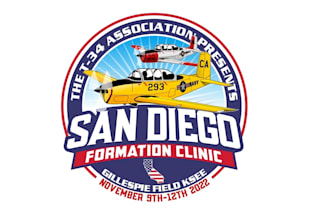 create wonderful and excellent aviation logo design