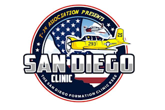 create exclusive and marvelous aviation logo design