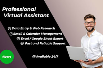 be your virtual assistant for data entry and admin tasks