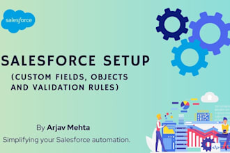 configure custom fields, validation rules, and objects in salesforce