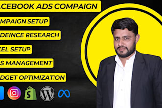 setup and manage shopify facebook ads and instagram ads