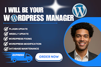 provide wordpress website maintenance, update, support and help for your site