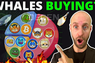 hype sol memecoin pump fun token, run crypto ads to 700k investors raise 500 sol