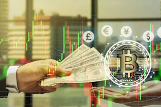 build a cryptocurrency investment website for ponzi scheme