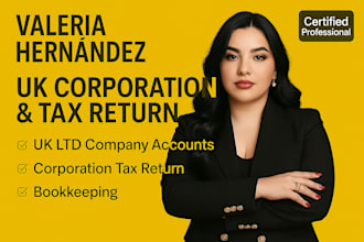 file uk corporation tax returns and prepare ltd company accounts professionally
