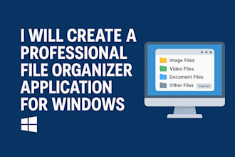 create a professional file organizer application for windows