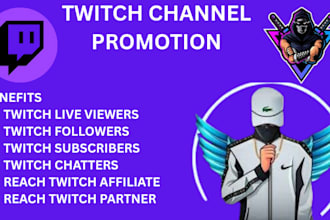 do twitch channel promotion to gain more followers and live viewers