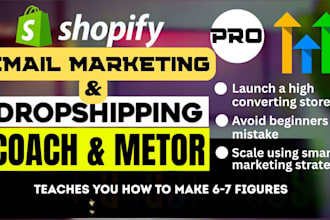 be your shopify ecommerce consultant and email marketing mentor
