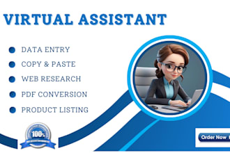be a data entry virtual assistant and copy paste, file conversion, web research