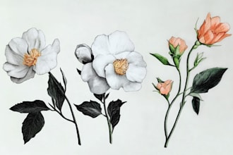 draw botanical illustration art for you