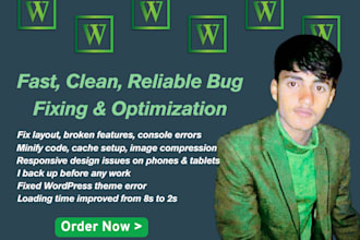 fix website bugs and speed up your wordpress site