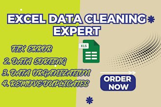 do excel data cleaning, sorting, formatting spreadsheet, data cleanup