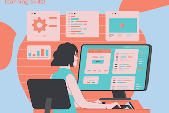 write debug and optimize programs and projects
