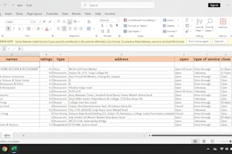 clean, organize, and convert your data files professionally